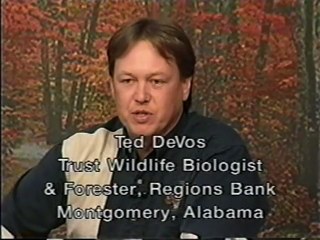 Biology and Management of Bobwhite Quail & Cottontail Rabbit - Ted Devos